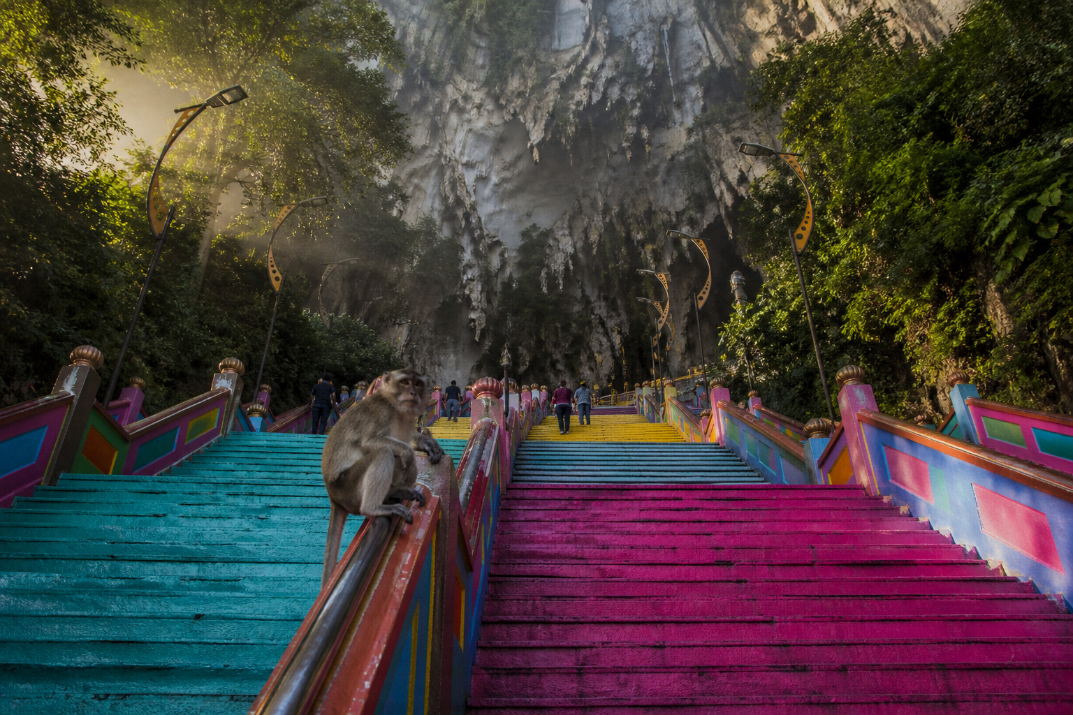 The macaques on the handrail are not tame. They will take an open water bottle or a snack out of your hand, so carry nothing loose on the climb.