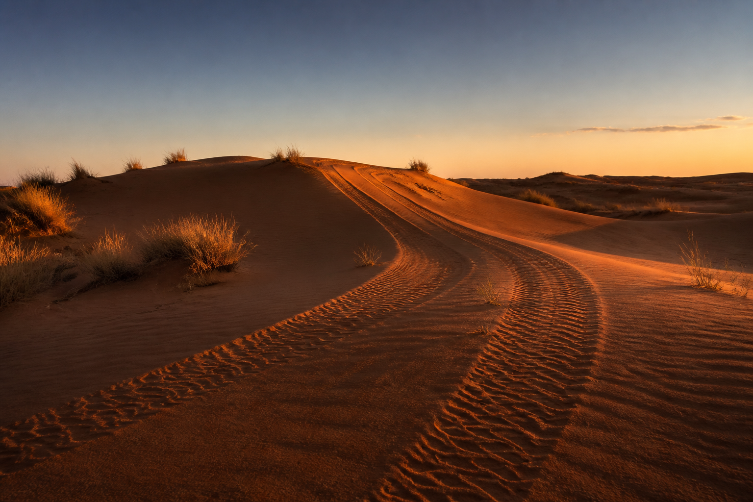 Tracks from the afternoon convoy. The camps sit twenty minutes further in, and the dune bashing happens before dinner, not after.
