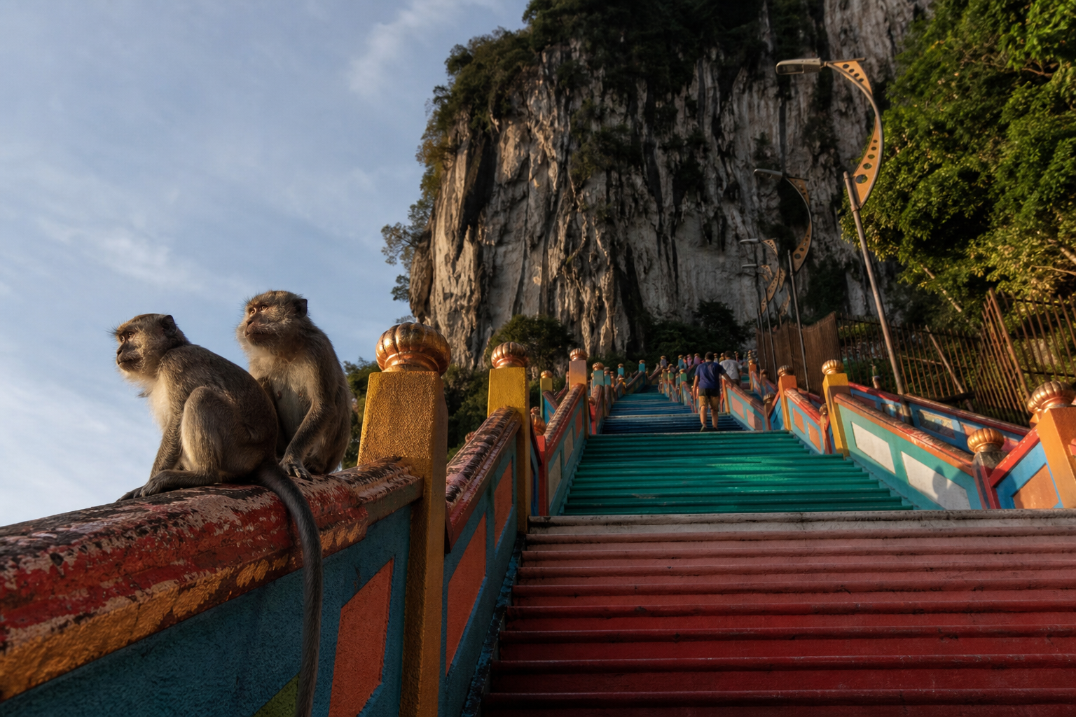 The staircase at seven. By eleven it is 33 degrees, shoulder to shoulder, and the macaques have worked out which bags hold food.